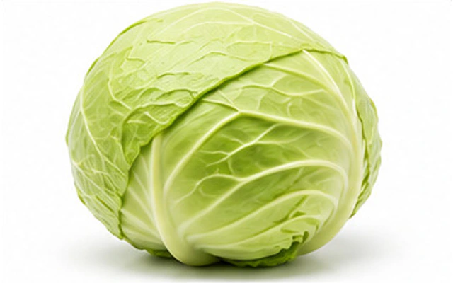 Cabbage