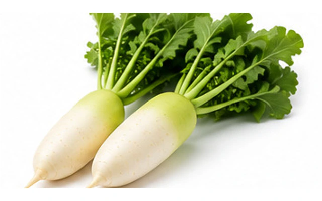 Radish